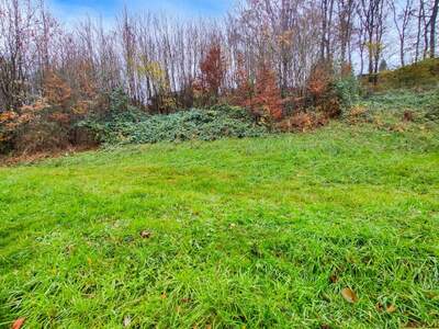 Grundstück kaufen in 4650 Lambach (Bild 5)