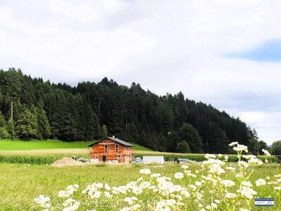 Grundstück kaufen in 9811 Lendorf