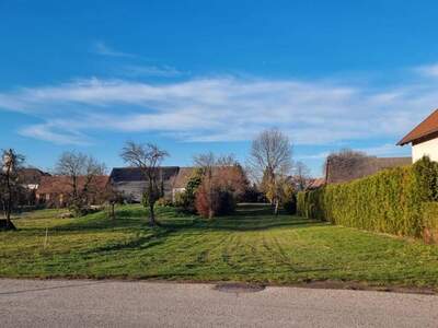 Anlageobjekt kaufen in 7361 Lutzmannsburg