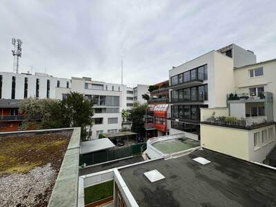 Haus kaufen in 4600 Wels (Bild 4)