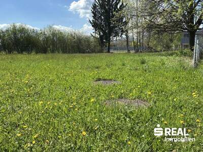 Grundstück kaufen in 6890 Lustenau (Bild 3)