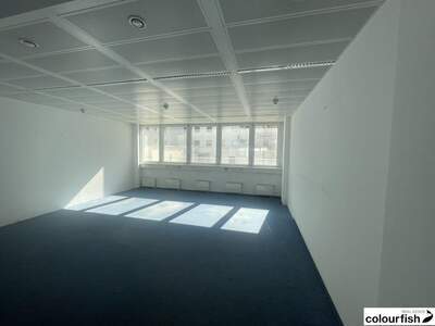 Gewerbeobjekt mieten in 1020 Wien (Bild 4)