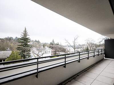 Terrassenwohnung kaufen in 1190 Wien (Bild 2)