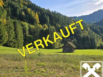 Grundstück kaufen in 9135 Ebriach (Bild 1)