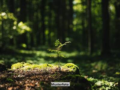 Grundstück kaufen in 4707 Schlüßlberg (Bild 1)