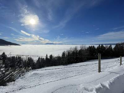 Grundstück kaufen in 9431 Wolfsberg (Bild 5)