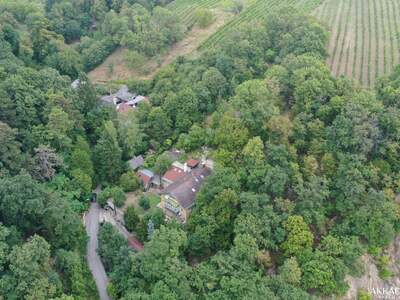 Haus mit Garten kaufen in 1190 Wien