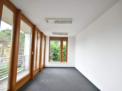 Gewerbeobjekt mieten in 5020 Salzburg (Bild 3)
