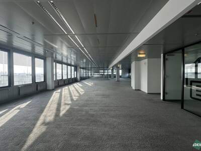 Gewerbeobjekt mieten in 1220 Wien