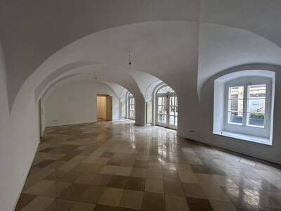 Gewerbeobjekt mieten in 1010 Wien