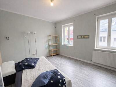 Haus mit Garten kaufen in 2410 Hainburg (Bild 4)