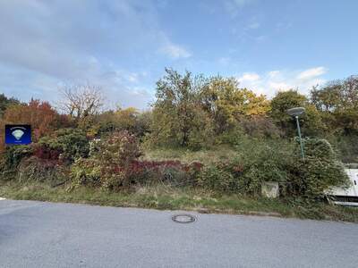 Grundstück kaufen in 7223 Sieggraben