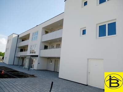 Terrassenwohnung mieten in 3382 Loosdorf (Bild 2)