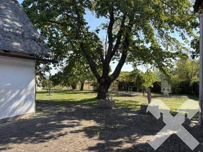 Haus kaufen in 8382 Wallendorf