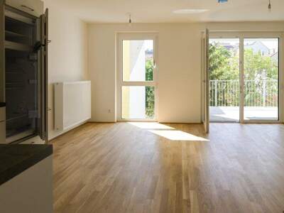 Terrassenwohnung mieten in 1100 Wien (Bild 2)