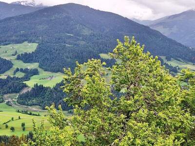 Gewerbeobjekt kaufen in 6363 Westendorf (Bild 1)