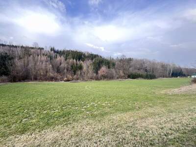 Gewerbeobjekt kaufen in 4782 Sankt Florian