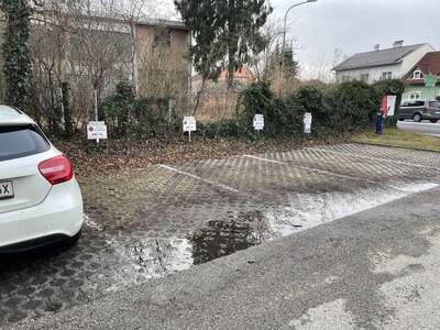 Immobilie kaufen in 4600 Wels (Bild 5)