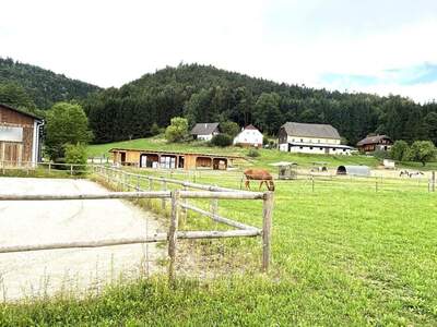 Gewerbeobjekt kaufen in 9100 Völkermarkt