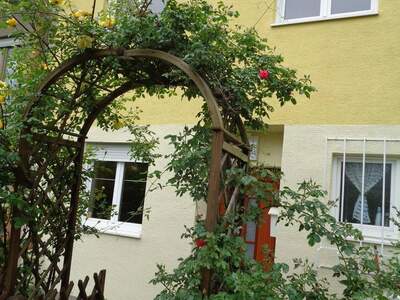 Reihenhaus mieten in 1230 Wien (Bild 5)
