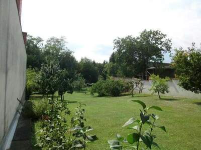 Haus mit Garten kaufen in 7342 kaisersdorf (Bild 3)