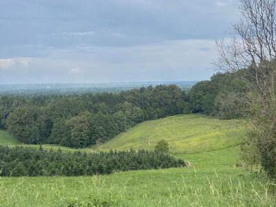 Grundstück kaufen in 8434 Maxlon (Bild 2)