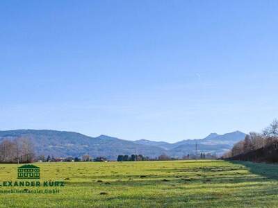 Haus kaufen in 5082 Grödig