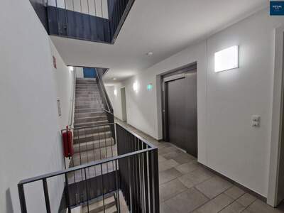 Wohnung mieten in 8020 Graz (Bild 4)