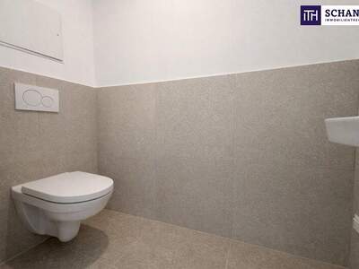 Terrassenwohnung kaufen in 2514 Traiskirchen (Bild 5)