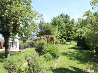 Einzelhandel kaufen in 2401 Fischamend (Bild 4)