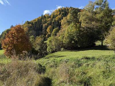 Grundstück kaufen in 8940 Weißenbach