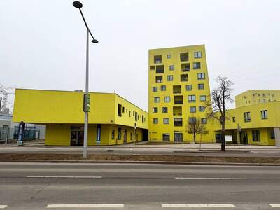 Gewerbeobjekt mieten in 1230 Wien (Bild 3)