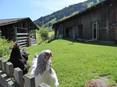 Bauernhaus kaufen in 5671 Bruck (Bild 3)