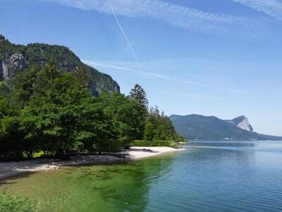 Grundstück kaufen in 4866 Oberburgau