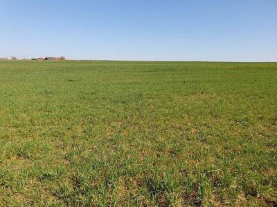 Grundstück kaufen in 5133 Gilgenberg