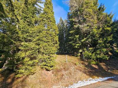 Grundstück kaufen in 8742 Sankt Anna (Bild 3)