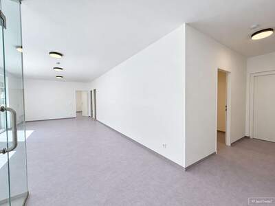 Gewerbeobjekt mieten in 1120 Wien (Bild 4)