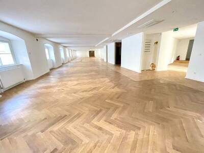 Gewerbeobjekt mieten in 1010 Wien (Bild 1)