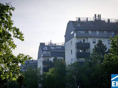 Wohnung mieten in 1030 Wien (Bild 5)