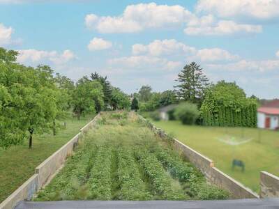 Haus mit Garten kaufen in 2462 Wilfleinsdorf (Bild 3)