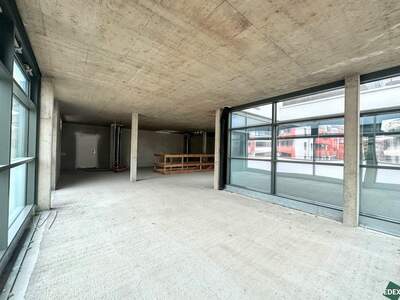 Gewerbeobjekt mieten in 1220 Wien (Bild 5)