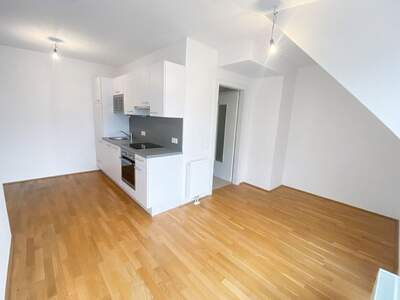 Apartment provisionsfrei mieten in 1210 Wien