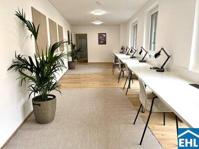 Terrassenwohnung mieten in 4020 Linz (Bild 2)