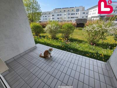 Wohnung mieten in 4210 Gallneukirchen (Bild 1)