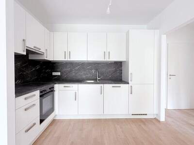 Terrassenwohnung kaufen in 1100 Wien (Bild 2)