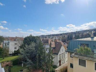 Terrassenwohnung kaufen in 1190 Wien (Bild 1)