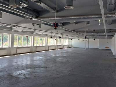 Gewerbeobjekt mieten in 2700 Wiener Neustadt (Bild 3)