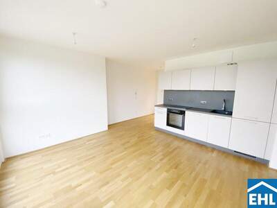 Terrassenwohnung mieten in 1110 Wien (Bild 1)
