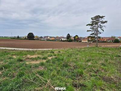 Grundstück kaufen in 2230 Gänserndorf