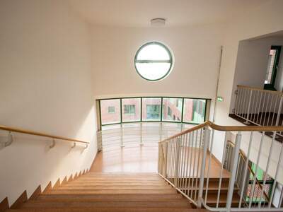 Gewerbeobjekt mieten in 1220 Wien (Bild 5)